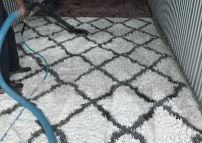 Affordable-Carpet-Cleaning