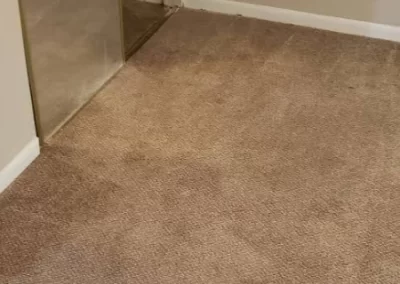 Affordable-Carpet-Cleaning-Service