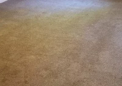Affordable-Rug-Cleaning-Services