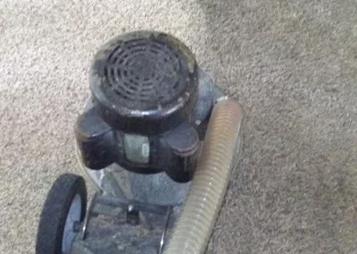 Dependable-Carpet-Cleaning-Service