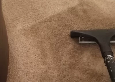 Quality-Carpet-Cleaning-Service