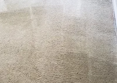 Trusted-Carpet-Cleaning-Service