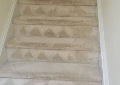 Trusted-Rug-Cleaning-Services