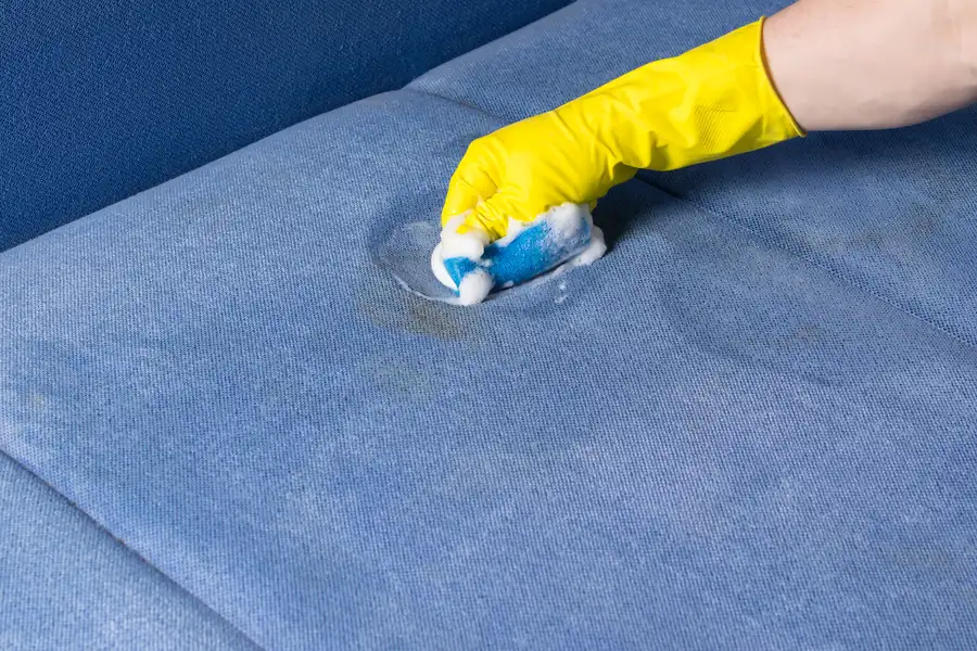 How Upholstery Cleaning Services Remove Tough Stains And Odors Gastonia, NC